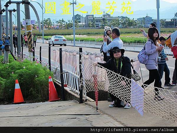 台中新社花海---花間漫遊  (208).jpg