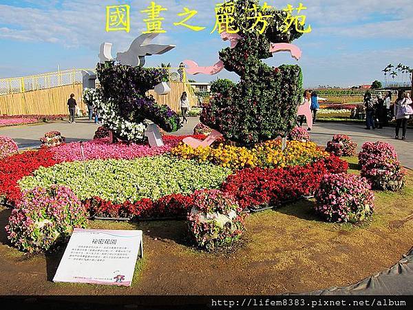 台中新社花海---花間漫遊  (221).jpg