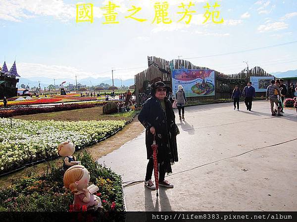 台中新社花海---花間漫遊  (240).jpg