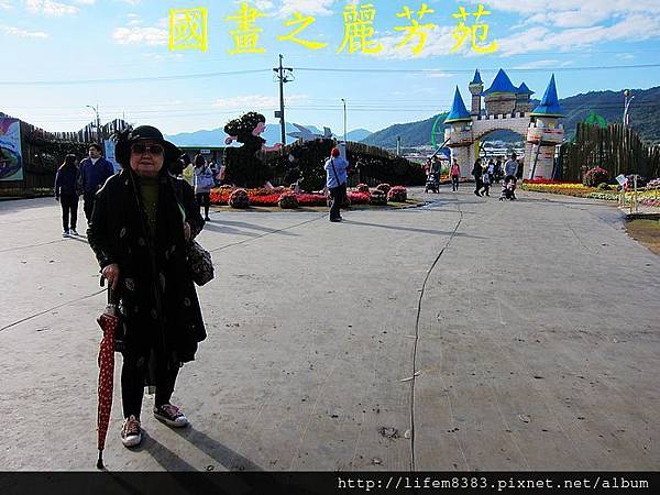 台中新社花海---花間漫遊  (241).jpg