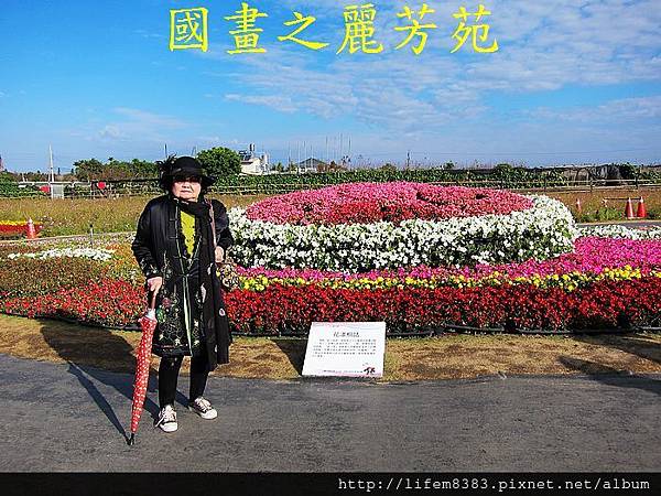 台中新社花海---花間漫遊  (257).jpg