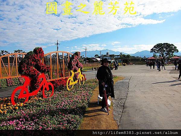 台中新社花海---花間漫遊  (260).jpg