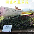 台中新社花海---花間漫遊  (265).jpg