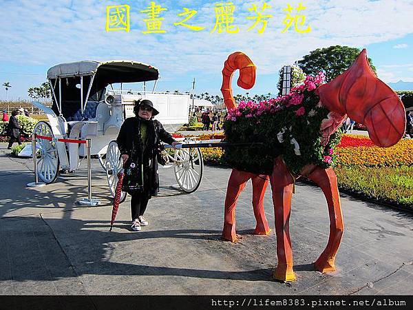 台中新社花海---花間漫遊  (279).jpg