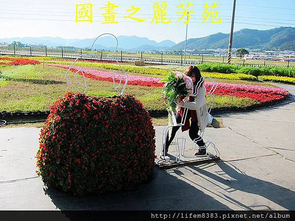 台中新社花海---花間漫遊  (281).jpg