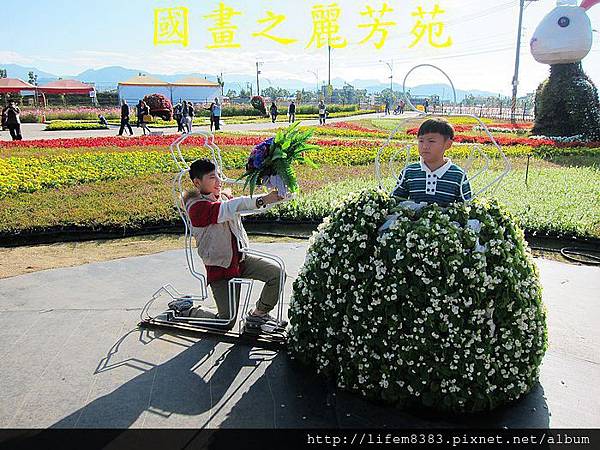 台中新社花海---花間漫遊  (282).jpg