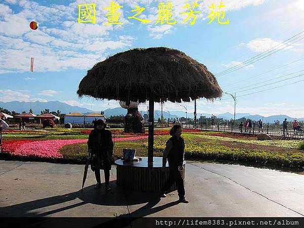 台中新社花海---花間漫遊  (285).jpg