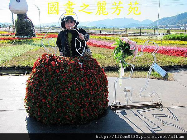 台中新社花海---花間漫遊  (292).jpg