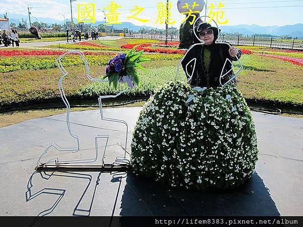 台中新社花海---花間漫遊  (293).jpg