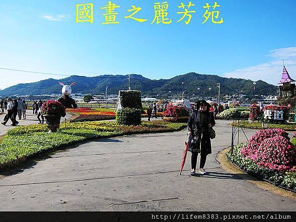 台中新社花海---花間漫遊  (300).jpg