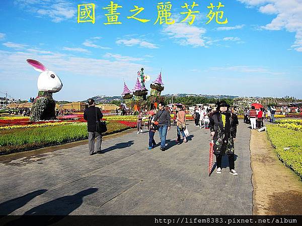 台中新社花海---花間漫遊  (319).jpg