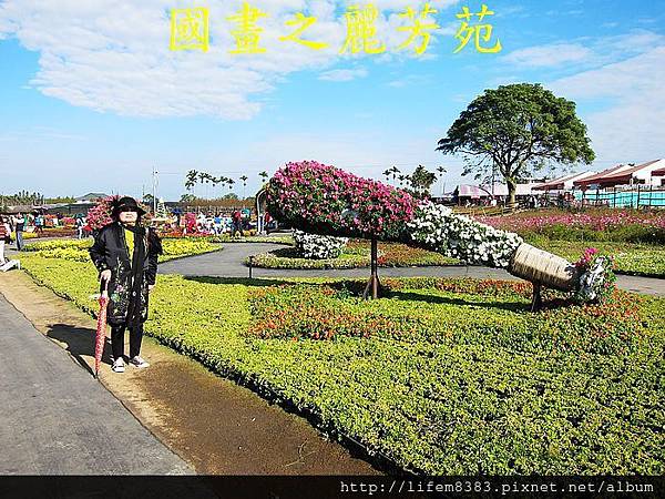 台中新社花海---花間漫遊  (321).jpg