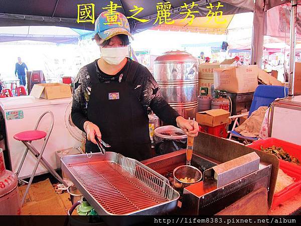 台中新社花海---花間漫遊  (331).jpg