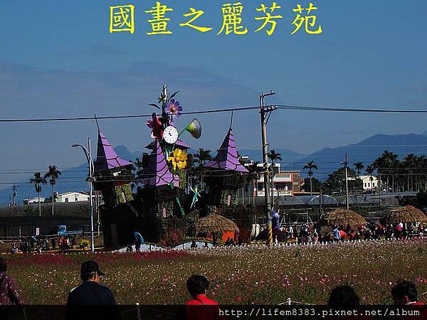 台中新社花海---花間漫遊  (337).jpg