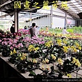 2014 大年初一 嘻春(大溪拜拜 遊花市) (126).jpg