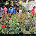 2014 大年初一 嘻春(大溪拜拜 遊花市) (135).jpg