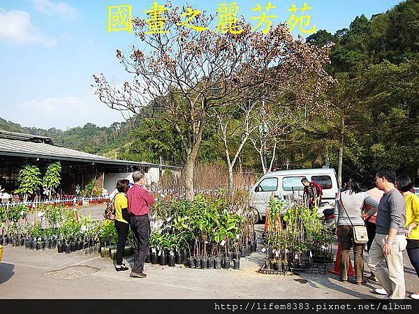 2014 大年初一 嘻春(大溪拜拜 遊花市) (208).jpg