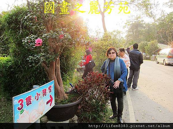 2014 大年初一 嘻春(大溪拜拜 遊花市) (245).jpg