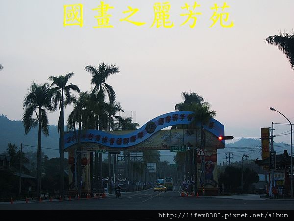 2014 台灣燈會 馬躍南投 (1).jpg