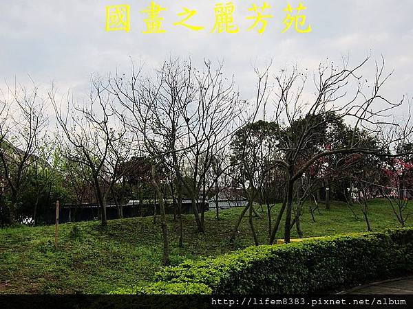 2014桃園燈會 幸福龍潭 (156).jpg