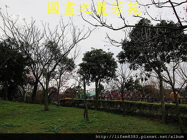 2014桃園燈會 幸福龍潭 (182).jpg