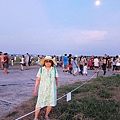 桃園地景藝術節---20140907 (288).jpg