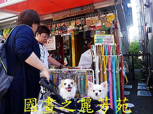 輕井澤 商圈步道 (223).jpg