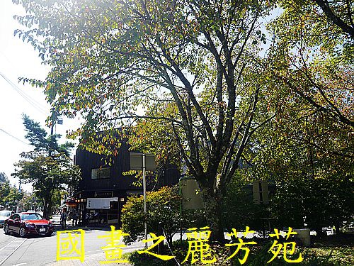 輕井澤 商圈步道 (331).jpg