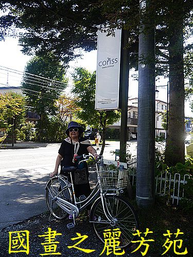 輕井澤 商圈步道 (370).jpg