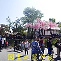 20160207 ---南投桃太郎村 (232).jpg