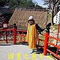 20160207 ---南投桃太郎村 (393).jpg