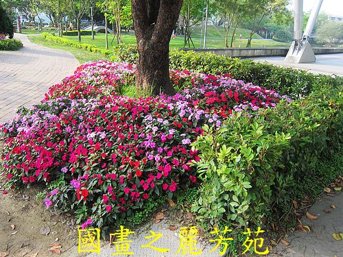 戀戀南台灣---新營南瀛綠都心公園 (53).jpg