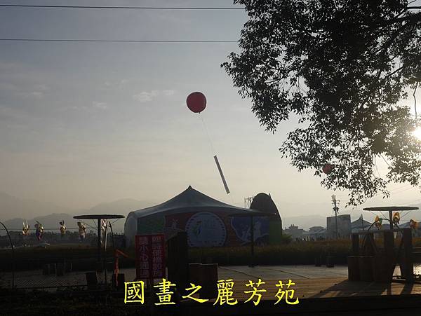 20161126---台中新社花海 (123).jpg