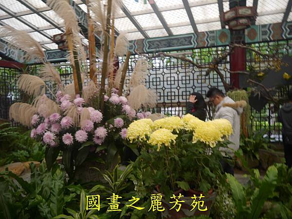 20161211 士林官邸賞秋菊 (147).jpg