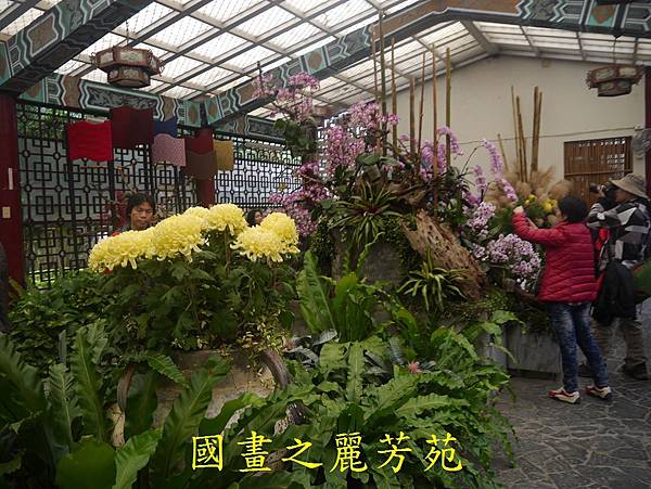 20161211 士林官邸賞秋菊 (151).jpg