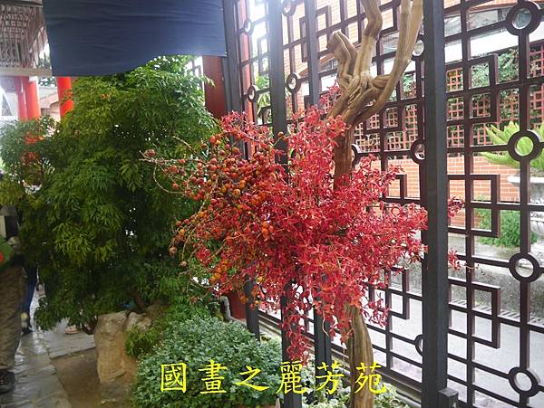 20161211 士林官邸賞秋菊 (153).jpg