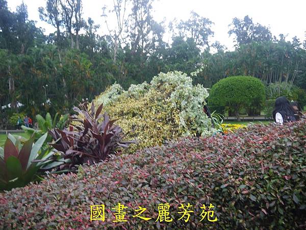 20161211 士林官邸賞秋菊 (254).jpg