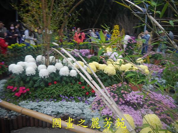 20161211 士林官邸賞秋菊 (351).jpg