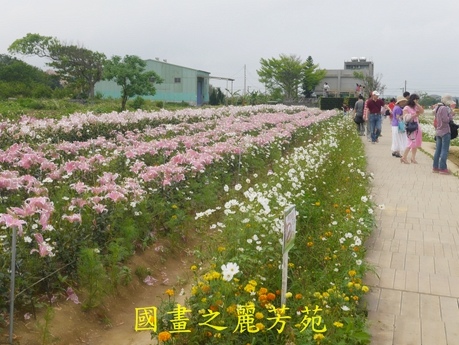 20170421---桃園彩芋節 (123).jpg