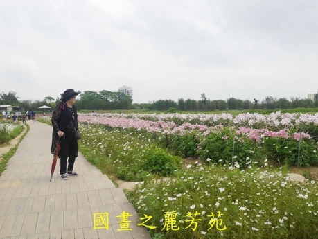 20170421---桃園彩芋節 (157).jpg