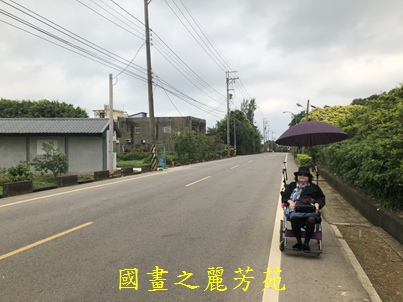 20190420 桃園彩色海芋節 (32).jpg