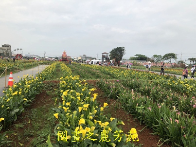 20190420 桃園彩色海芋節 (77).jpg