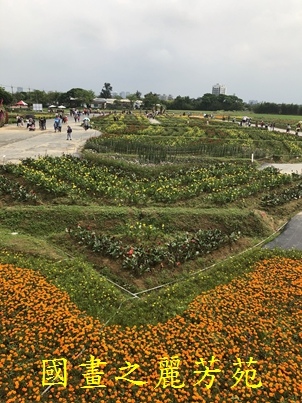 20190420 桃園彩色海芋節 (120).jpg