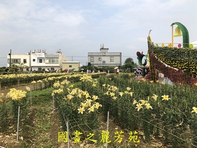 20190420 桃園彩色海芋節 (141).jpg