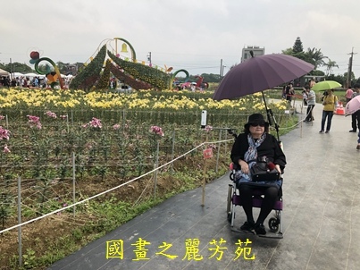 20190420 桃園彩色海芋節 (142).jpg