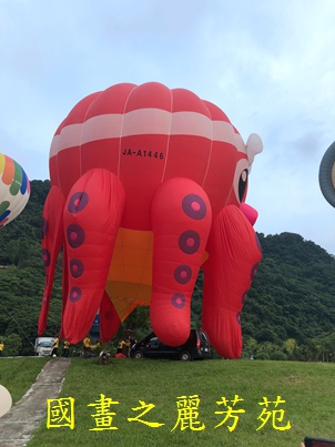 2019 石門水庫熱氣球嘉年華 (84).jpg