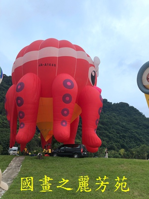 2019 石門水庫熱氣球嘉年華 (87).jpg