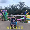 2019桃園地景 大湳森林公園 (54).jpg