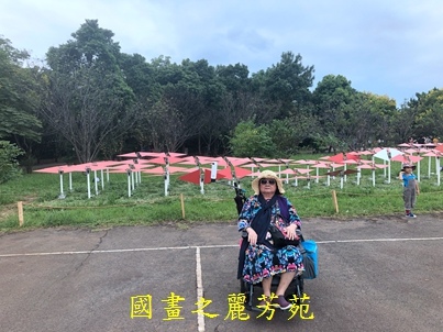 2019桃園地景 大湳森林公園 (61).jpg