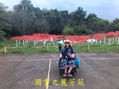 2019桃園地景 大湳森林公園 (60).jpg